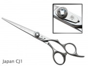 Japan CJ1 thumb 1